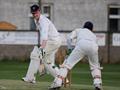 stumping by craig.jpg
